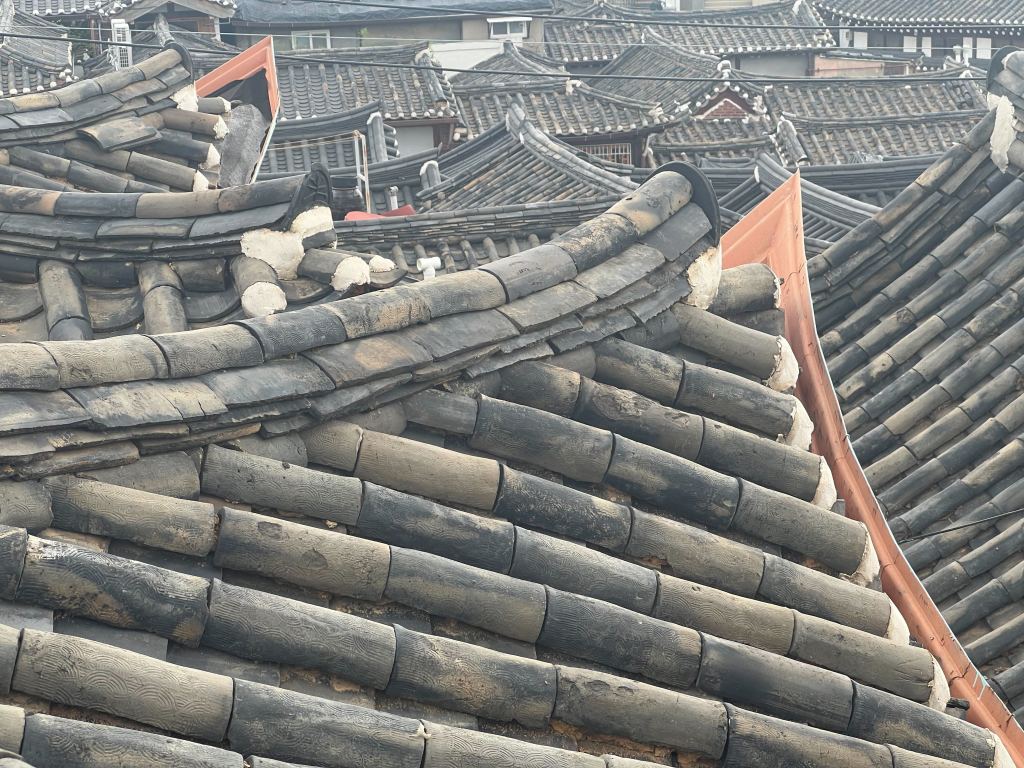 Symposium at OHBM in Seoul, South&nbsp;Korea